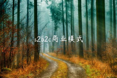 s2b2c商業(yè)模式